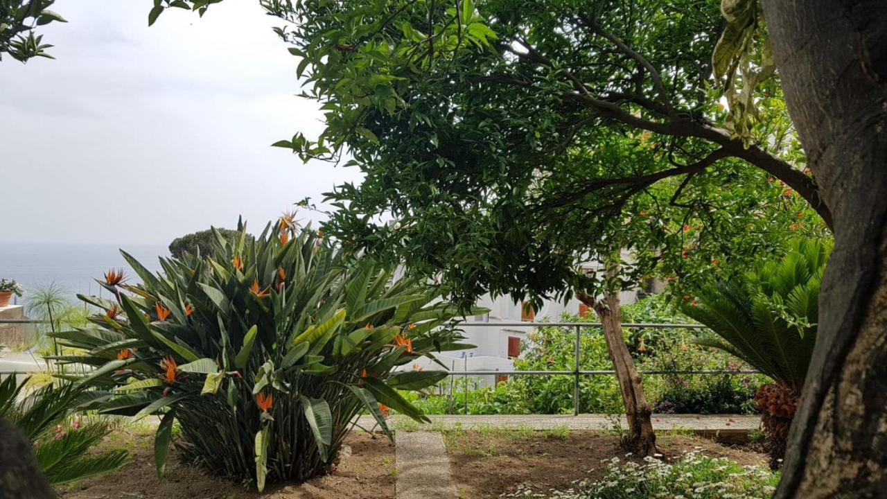 포지타노 Casa Anna 빌라 외부 사진